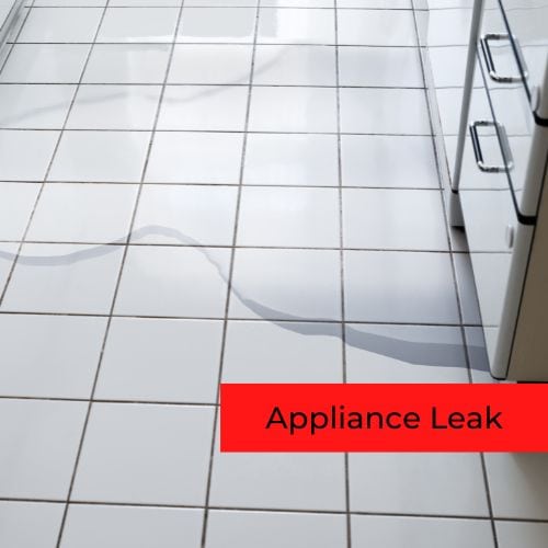 Appliance leak