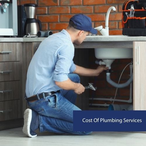 Cost Of Plumbing Services