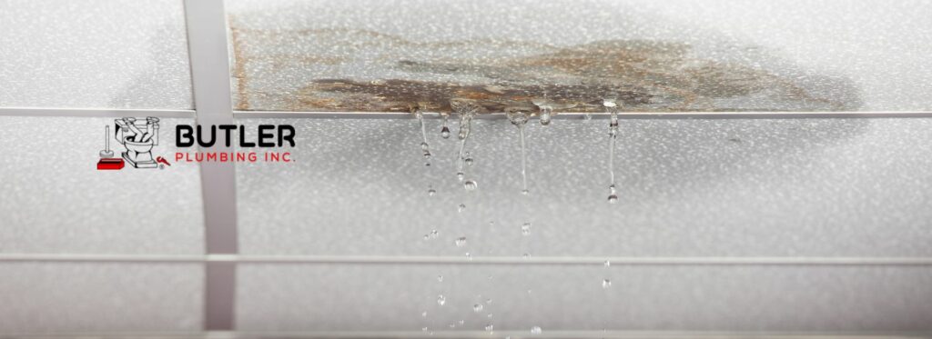 The Cost Of Slab Leak Repair And Prevention