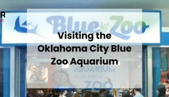 Visiting Blue Zoo Aquarium Oklahoma City