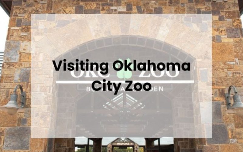Oklahoma City Zoo Visiting
